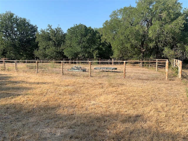 view of yard with a rural view