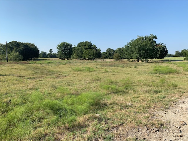 view of nature featuring a rural view