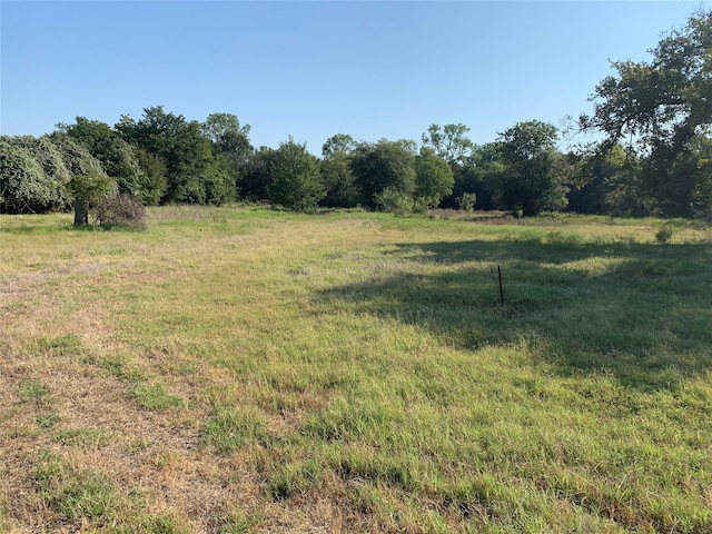 view of yard featuring a rural view