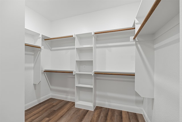 spacious closet with dark hardwood / wood-style flooring