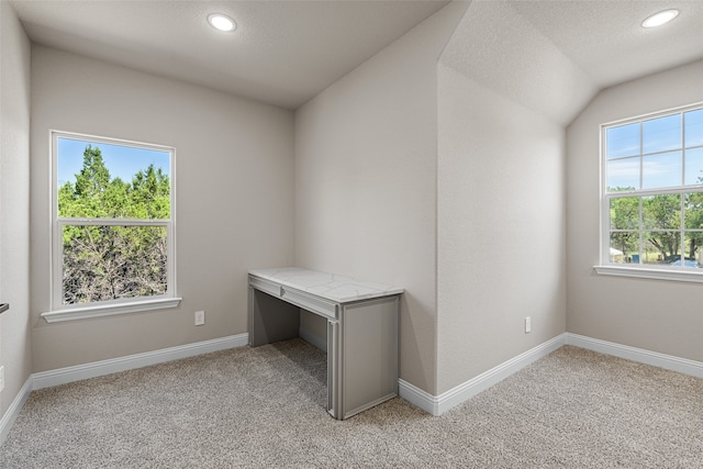 unfurnished office featuring a textured ceiling, lofted ceiling, and light colored carpet