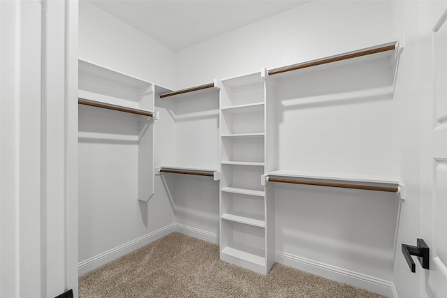 walk in closet with light colored carpet