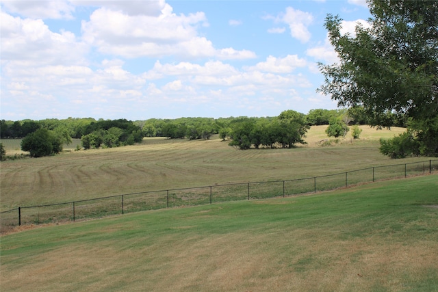 view of yard with a rural view