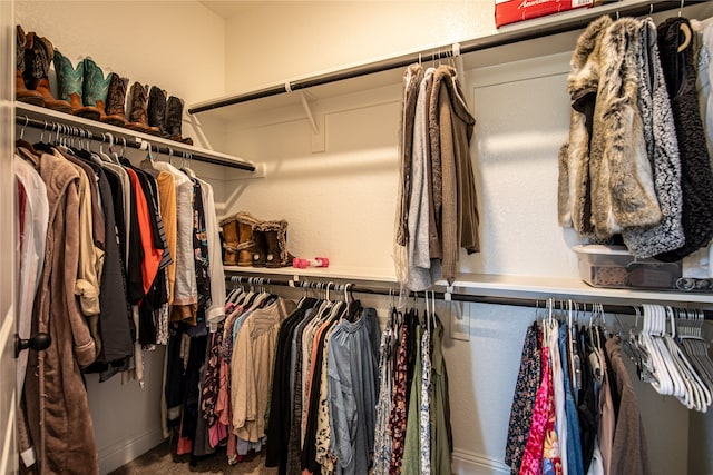 spacious closet featuring carpet floors