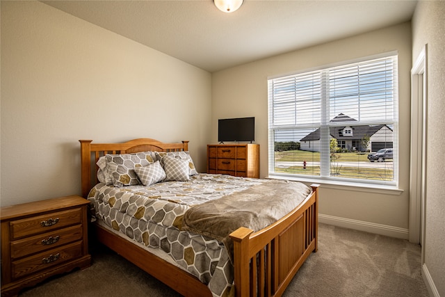 carpeted bedroom with multiple windows