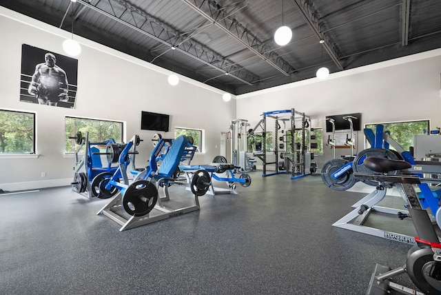 exercise room with a high ceiling