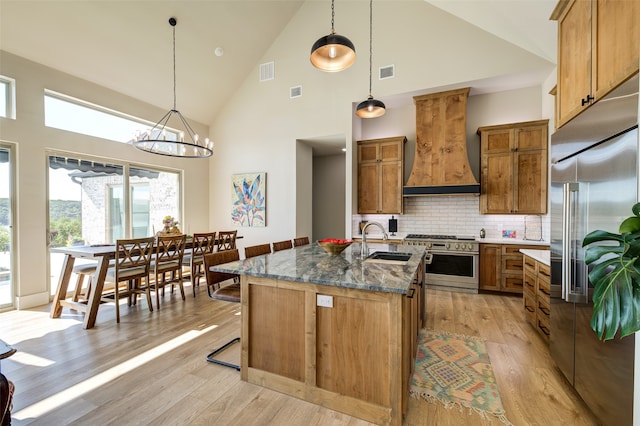 kitchen featuring backsplash, premium range hood, light hardwood / wood-style floors, sink, and high quality appliances