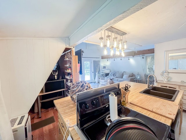 kitchen with sink, butcher block counters, and wood-type flooring