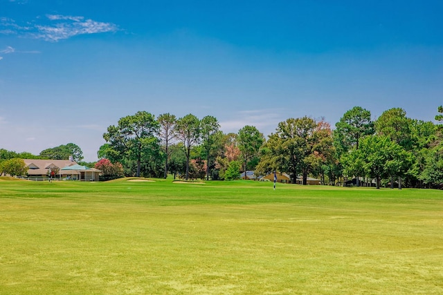 view of property's community featuring a yard