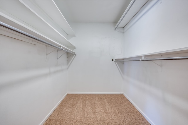 spacious closet featuring carpet flooring