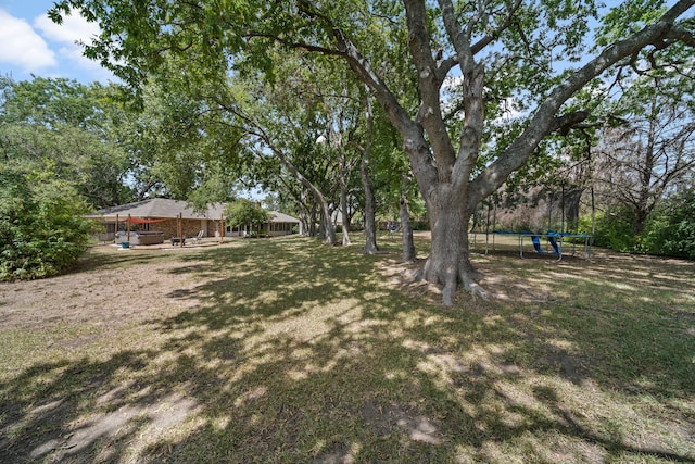 view of yard featuring a patio and a trampoline