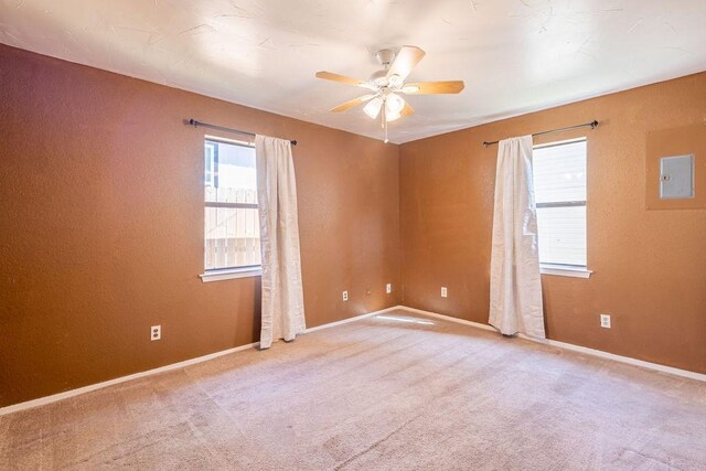 unfurnished room featuring ceiling fan and carpet