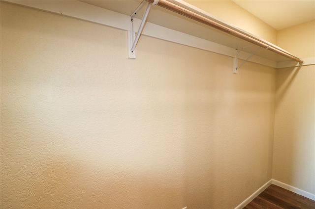 walk in closet with dark wood-type flooring