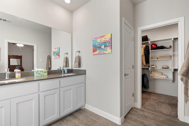 bathroom featuring vanity and hardwood / wood-style floors