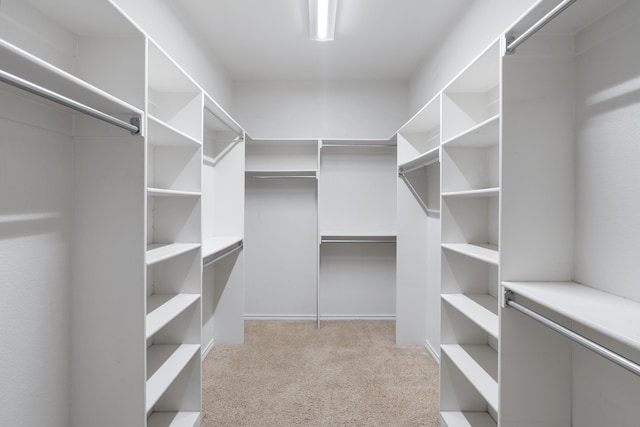 walk in closet featuring light colored carpet