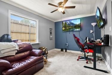 carpeted office space featuring ceiling fan and crown molding