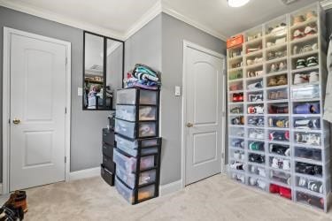 walk in closet with carpet floors