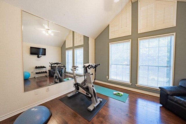 workout area with high vaulted ceiling, ceiling fan, a healthy amount of sunlight, and wood-type flooring