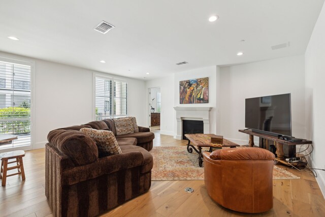 5270 Town And Country Blvd Unit 113, Frisco, TX 75034 - living room featuring light wood-type flooring, a fireplace, visible vents, and a healthy amount of sunlight
