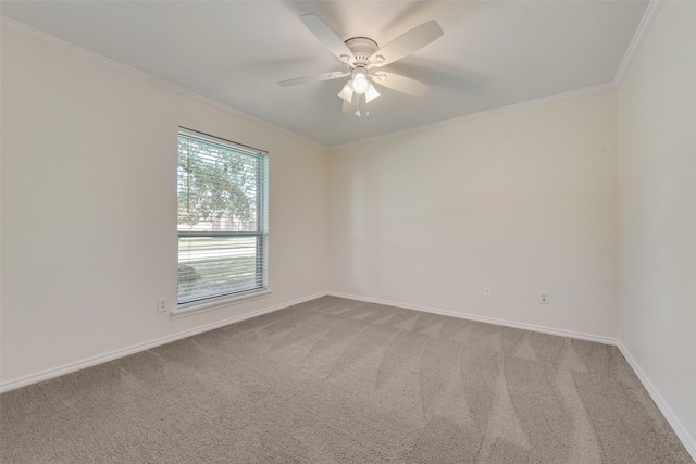 carpeted empty room with ceiling fan and crown molding