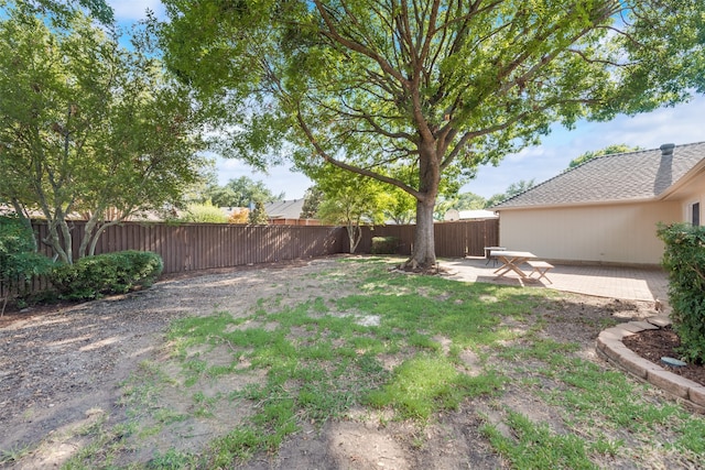 view of yard featuring a patio