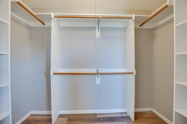 walk in closet featuring wood-type flooring