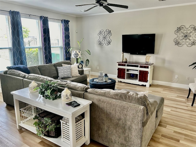 living room featuring ceiling fan, light hardwood / wood-style flooring, and ornamental molding