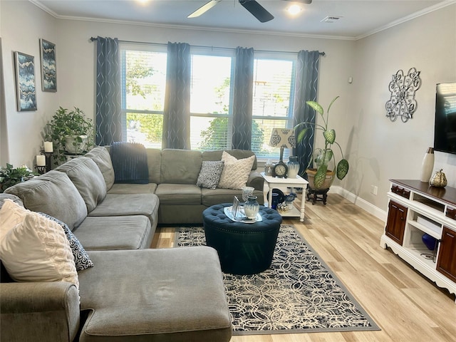 living room with hardwood / wood-style floors, ceiling fan, and crown molding