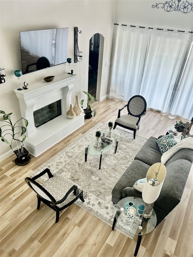 living room featuring a fireplace and wood-type flooring