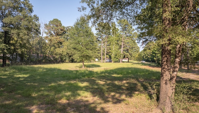 Listing photo 2 for TBD Fm 560, Hooks TX 75561