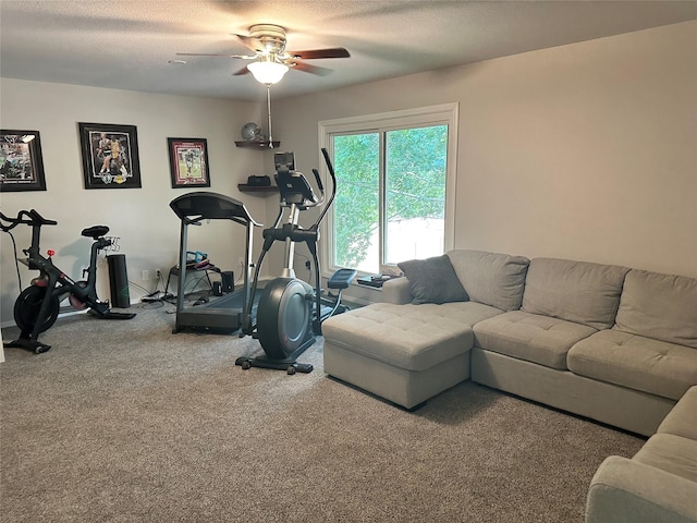 exercise area featuring a textured ceiling, carpet floors, and ceiling fan