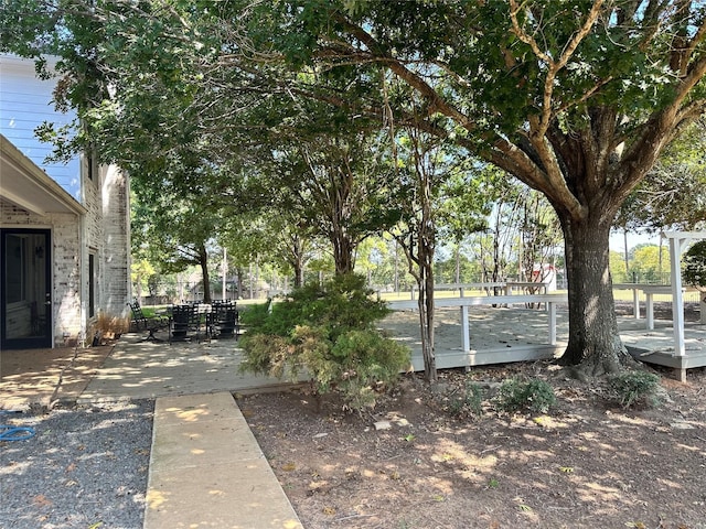 view of yard with a patio area