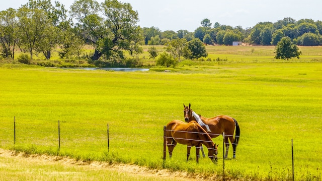 exterior space featuring a rural view, a yard, and a water view