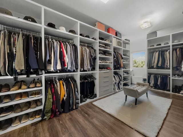 spacious closet featuring wood-type flooring