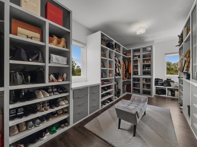 walk in closet with dark hardwood / wood-style flooring