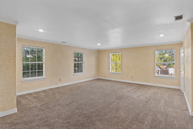 carpeted spare room featuring plenty of natural light and crown molding