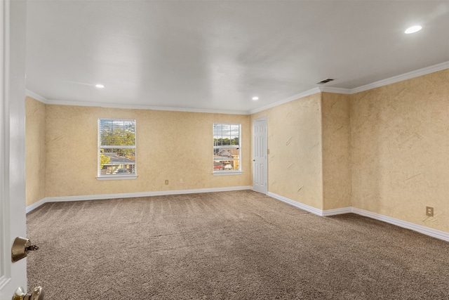 empty room featuring carpet and crown molding