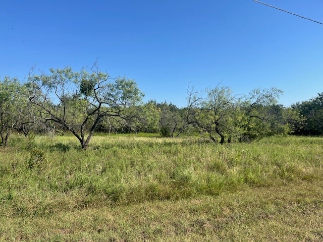 6007 Wildwood Dr, Whitney TX, 76692 land for sale