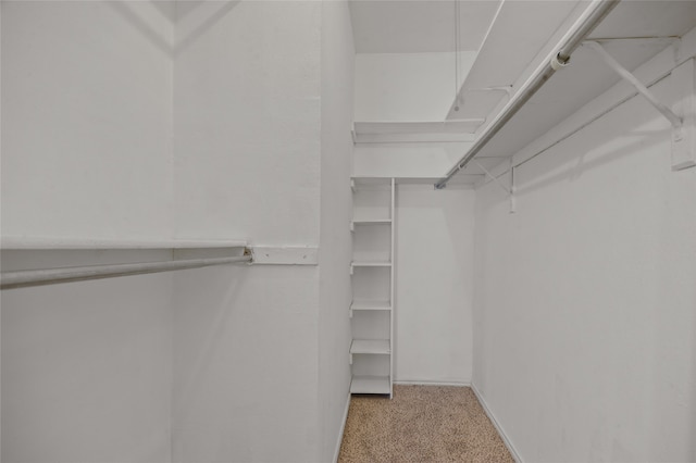 spacious closet with light carpet