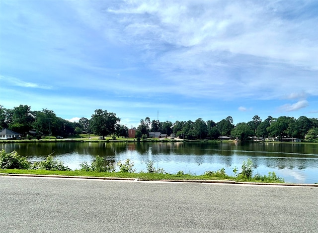 view of water feature