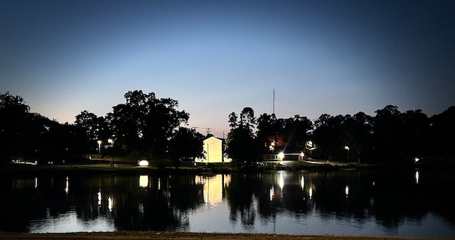 view of water feature