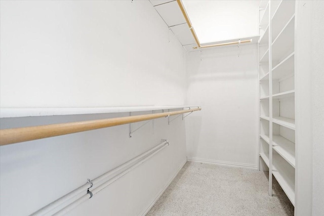 spacious closet featuring light carpet