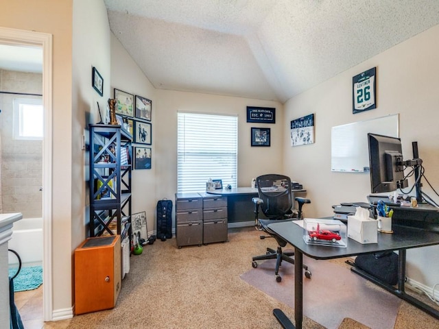 office space with light carpet, lofted ceiling, and a textured ceiling