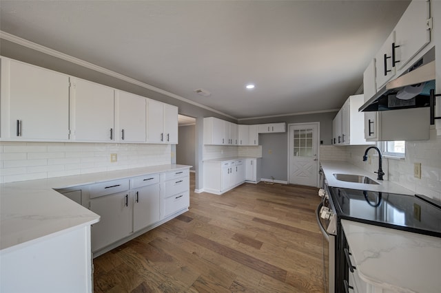 kitchen with hardwood / wood-style flooring, electric stove, white cabinets, light stone countertops, and sink