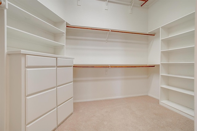 walk in closet with light colored carpet