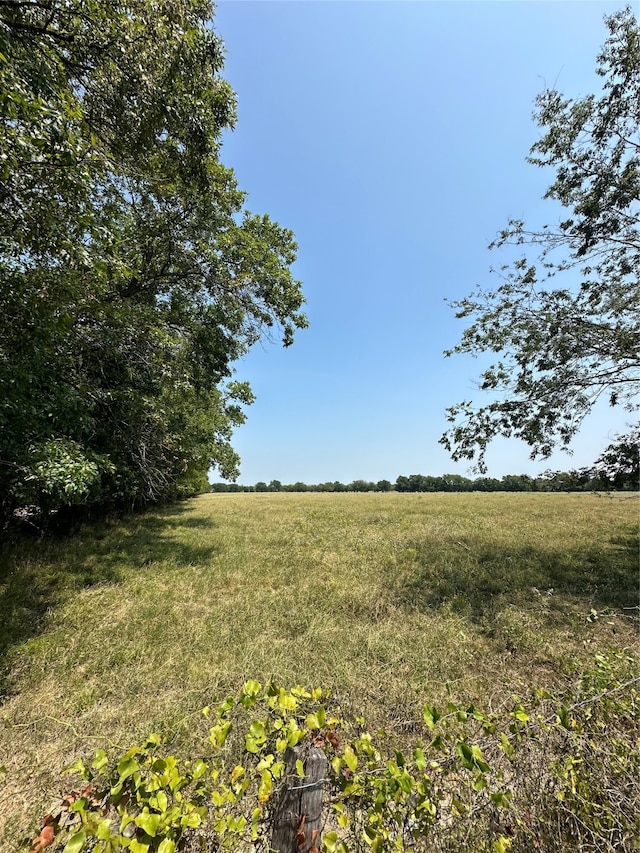 Listing photo 3 for TBD Fm 411, Clarksville TX 75426