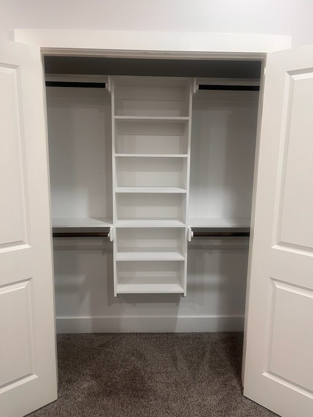 view of closet