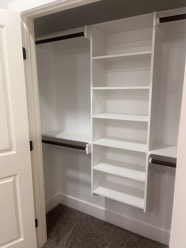 view of closet