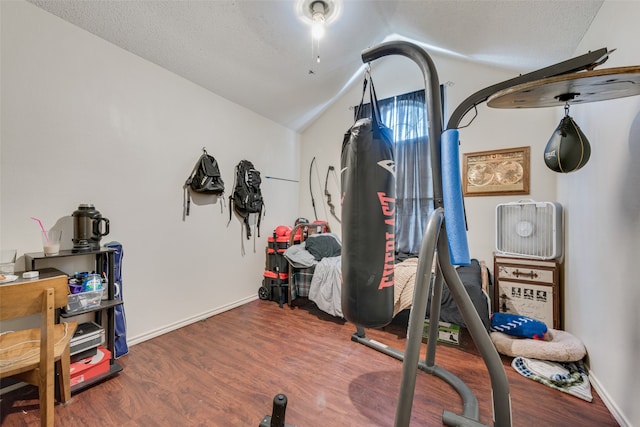 exercise area featuring a textured ceiling, lofted ceiling, and hardwood / wood-style flooring