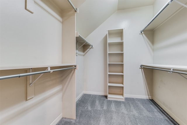 walk in closet with lofted ceiling and carpet